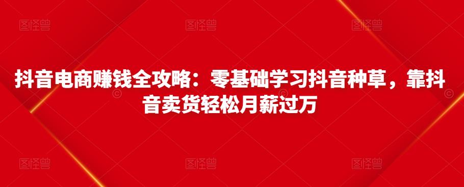 抖音电商赚钱全攻略：零基础学习抖音种草，靠抖音卖货轻松月薪过万-第2资源网