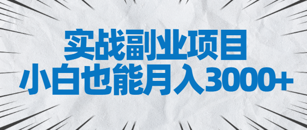 实战副业项目，小白也能月入3000+，易上手，人人可做【视频教程】-第2资源网