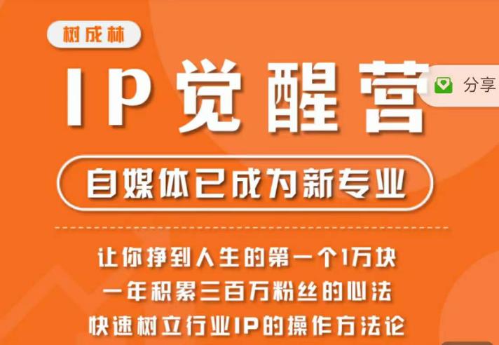 树成林·IP觉醒营-快速树立行业IP的操作方法论-让你赚到人生的第一个1万块-第2资源网