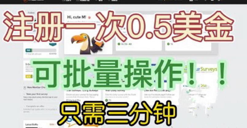 国外项目注册一次0.5美金-只需三分钟无脑操作-可批量同时放大操作-小白工作室福利【揭秘】-第2资源网