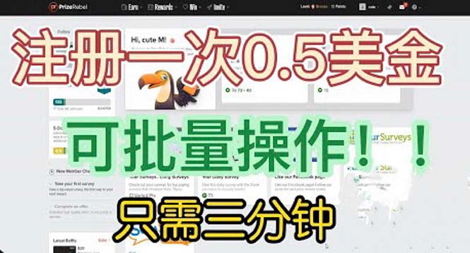 国外项目注册一次0.5美金 只需三分钟无脑操作 可批量放大 小白工作室福利-第2资源网