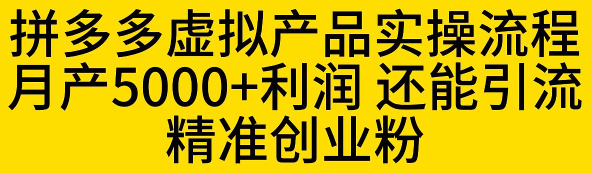 拼多多虚拟产品实操流程-月产5000+利润-还能引流精准创业粉【揭秘】-第2资源网