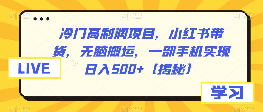 冷门高利润项目-小红书带货-无脑搬运-一部手机实现日入500+【揭秘】-第2资源网