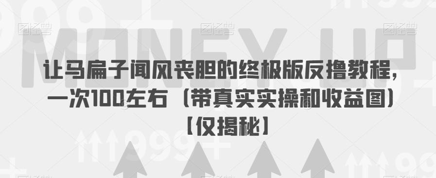 让马扁子闻风丧胆的终极版反撸教程-一次100左右（带真实实操和收益图）【仅揭秘】-第2资源网