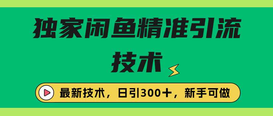 独家闲鱼引流技术-日引300＋实战玩法-第2资源网