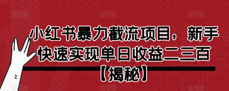 小红书暴力截流项目-新手快速实现单日收益二三百【仅揭秘】-第2资源网