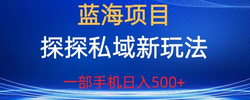 蓝海项目-探探私域新玩法-一部手机日入500+很轻松【揭秘】-第2资源网