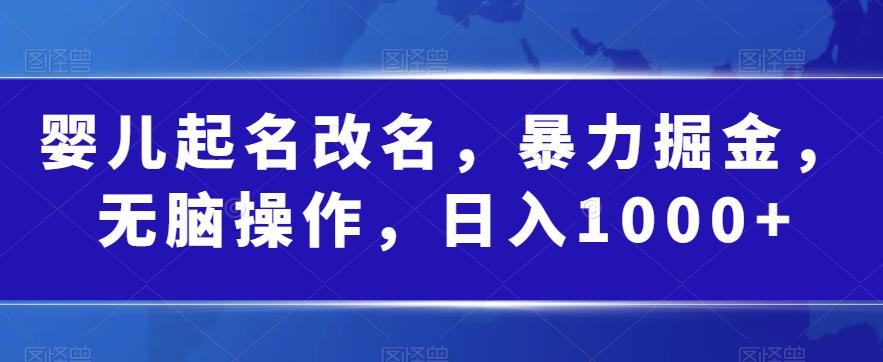 婴儿起名改名-暴力掘金-无脑操作-日入1000+【揭秘】-第2资源网