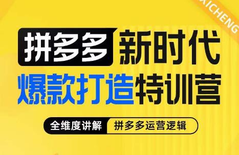 玺承·拼多多新时代爆款打造特训营-全维度讲解拼多多运营逻辑-第2资源网