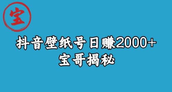 宝哥抖音壁纸号日赚2000+-不需要真人露脸就能操作【揭秘】-第2资源网