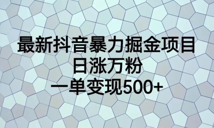 最新抖音暴力掘金项目-日涨万粉-一单变现500+【揭秘】-第2资源网