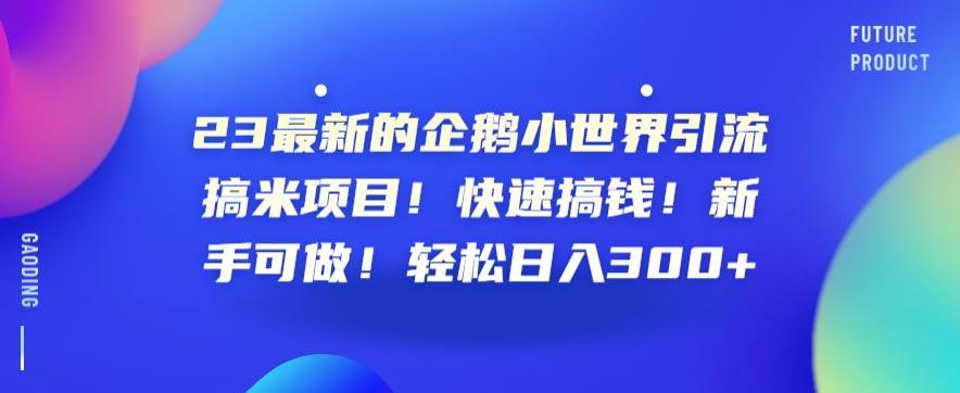 23最新的企鹅小世界引流搞米项目！快速搞钱！新手可做！轻松日入300+【揭秘】-第2资源网