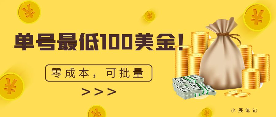 单号最低100美金-零成本-小白无脑操作。可-可扩大。-第2资源网