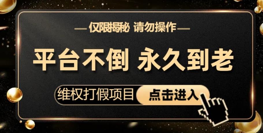 维权打假项目-电商平台不倒-项目长久到老-零投入-高回报-日入1000+（仅揭秘-勿操作）-第2资源网