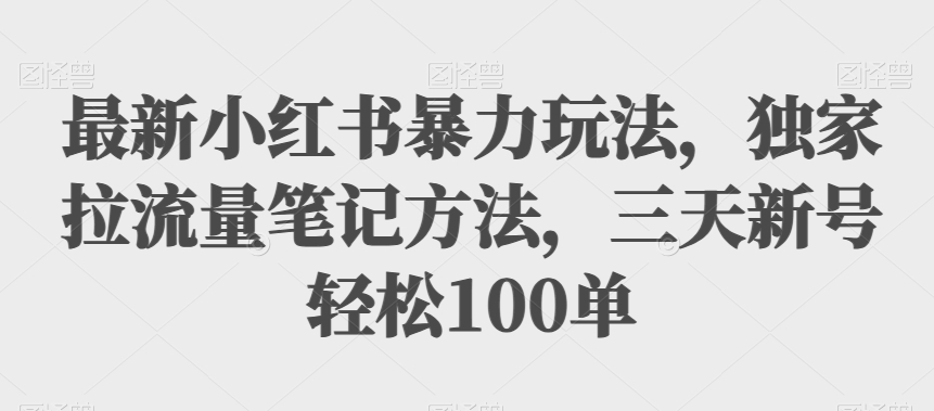 最新小红书暴力玩法-独家拉流量笔记方法-三天新号轻松100单【揭秘】-第2资源网