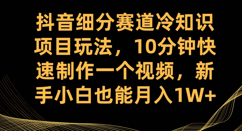 抖音细分赛道冷知识项目玩法-10分钟快速制作一个视频-新手小白也能月入1W+【揭秘】-第2资源网