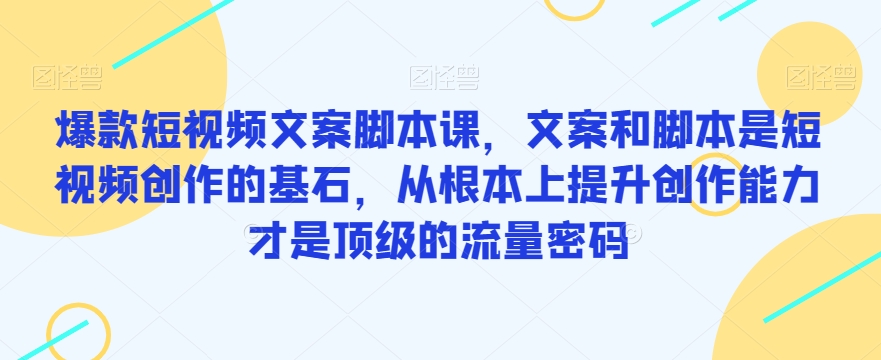 爆款短视频文案脚本课-文案和脚本是短视频创作的基石-从根本上提升创作能力才是顶级的流量密码-第2资源网