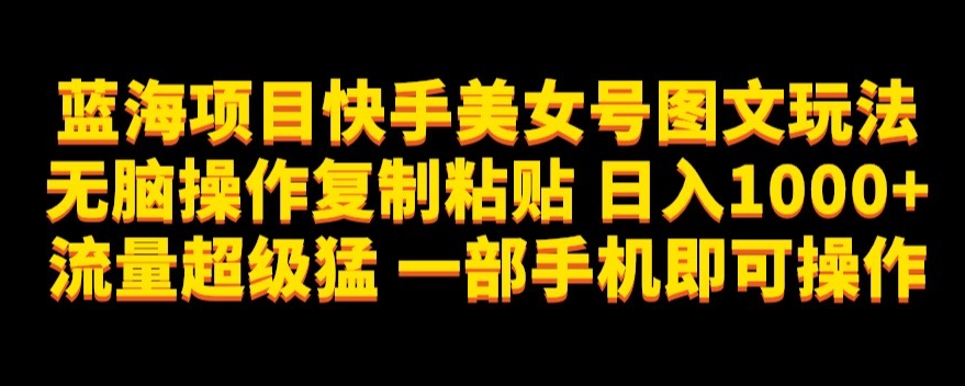 蓝海项目快手美女号图文玩法-无脑操作复制粘贴-日入1000+流量超级猛一部手机即可操作【揭秘】-第2资源网