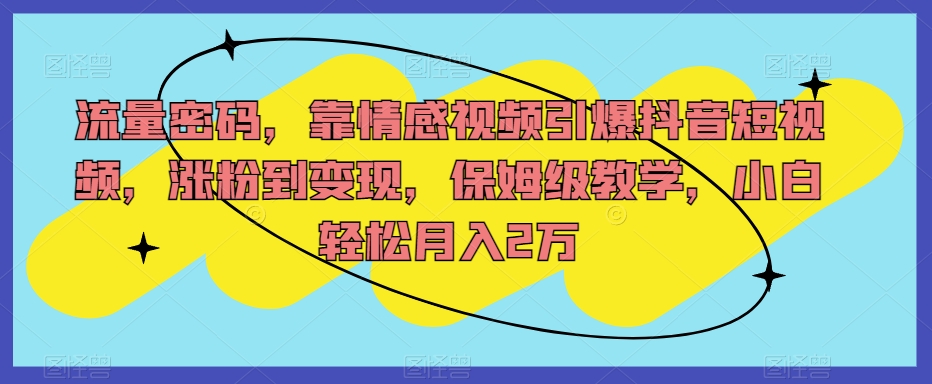 流量密码-靠情感视频引爆抖音短视频-涨粉到变现-保姆级教学-小白轻松月入2万【揭秘】-第2资源网