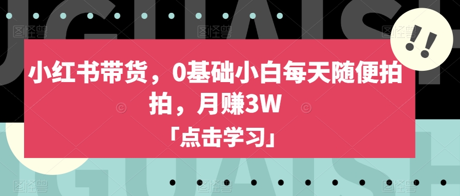 小红书带货-0基础小白每天随便拍拍-月赚3W【揭秘】-第2资源网