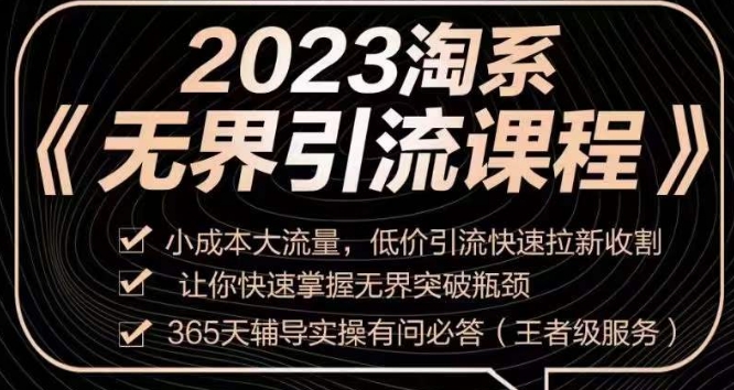 2023淘系无界引流实操课程-​小成本大流量-低价引流快速拉新收割-让你快速掌握无界突破瓶颈-第2资源网