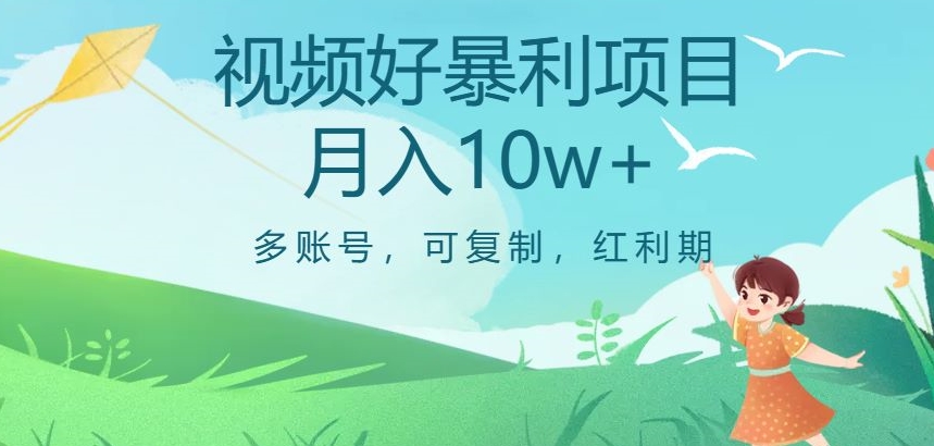 视频号暴利项目-多账号-可复制-红利期-月入10w+【揭秘】-第2资源网