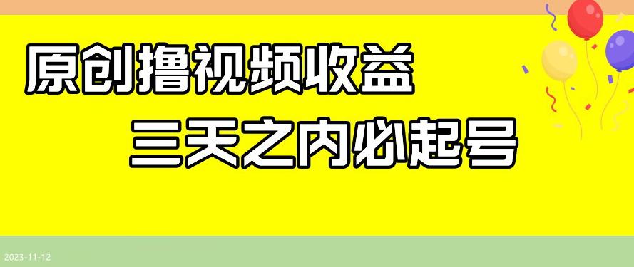 最新撸视频收益-三天之内必起号-一天保底100+【揭秘】-第2资源网