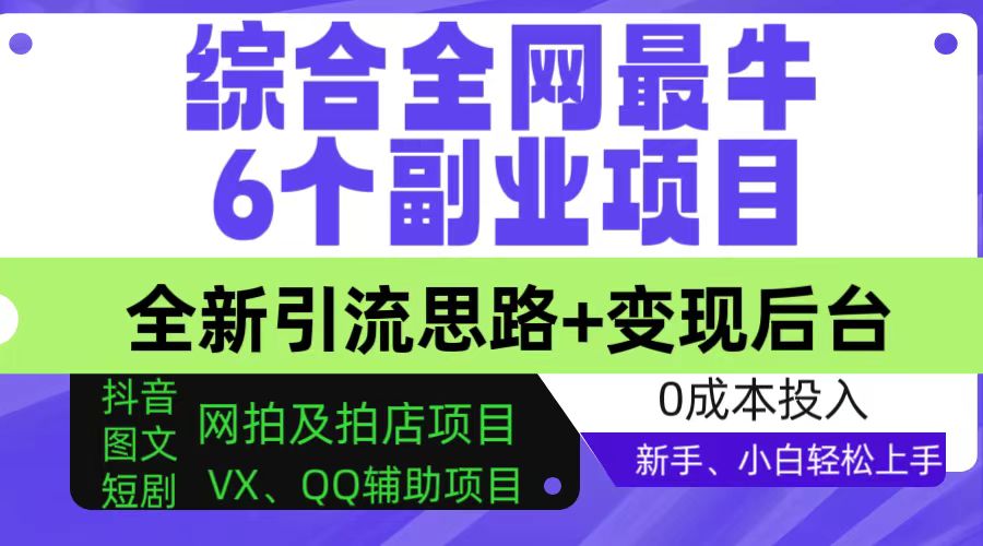 综合全网 6 个副业项目-全新引流思路+变现后台-有手就能做-新手、小白也能轻松上手-第2资源网