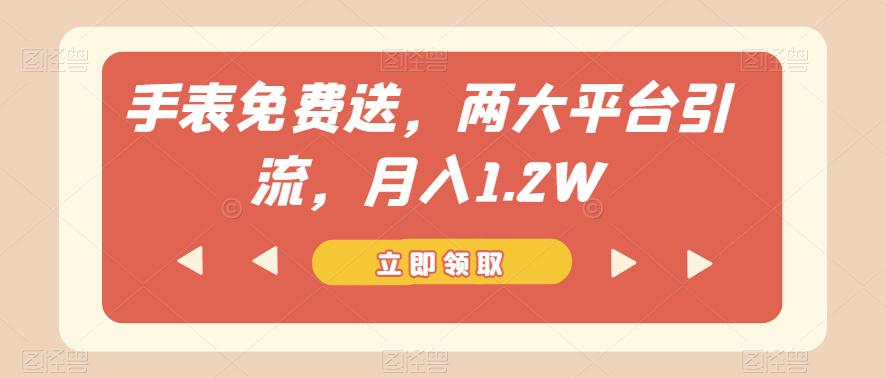 手表免费送-两大平台引流-月入1.2W【揭秘】-第2资源网