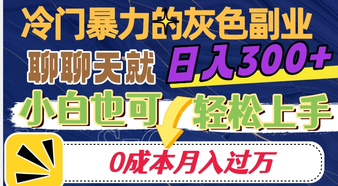 冷门暴利的副业项目-聊聊天就能日入300+-0成本月入过万【揭秘】-第2资源网