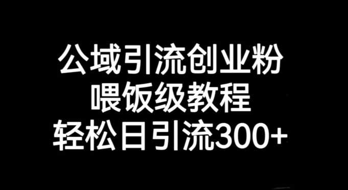 公域引流创业粉-喂饭级教程-轻松日引流300+【引流技巧】-第2资源网