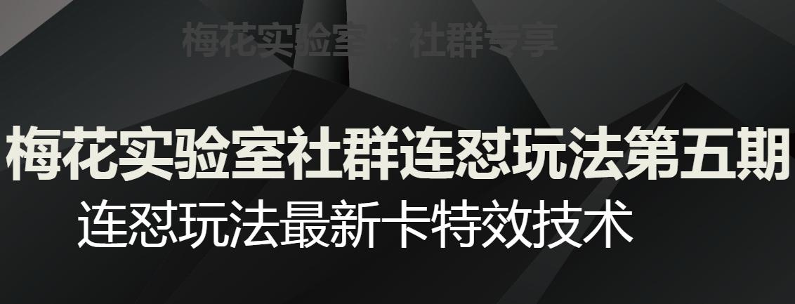 梅花实验室社群连怼玩法第五期-视频号连怼玩法最新卡特效技术-第2资源网