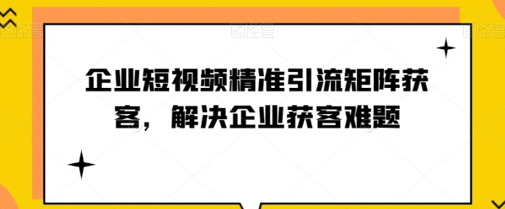 短视频时代-企业如何实现精准引流与矩阵获客【实战攻略】-第2资源网