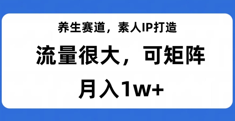 养生赛道-素人IP打造-流量很大-可矩阵-月入1w+【揭秘】-第2资源网