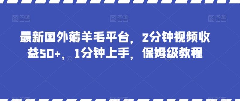 最新国外薅羊毛平台-2分钟视频收益50+-1分钟上手-保姆级教程【揭秘】-第2资源网