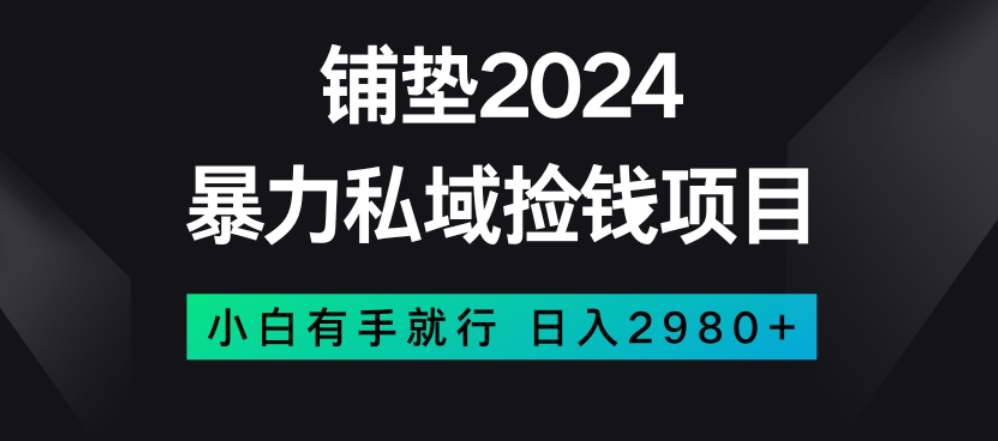 暴力私域捡钱项目-小白无脑操作-日入2980【揭秘】-第2资源网