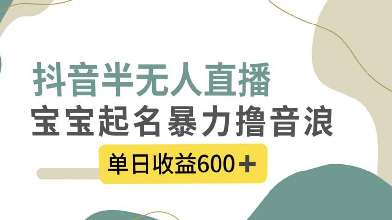 抖音半无人直播-宝宝起名-暴力撸音浪-单日收益600+-第2资源网