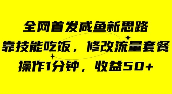 咸鱼冷门新玩法-靠“技能吃饭”-修改流量套餐-操作1分钟-收益50【揭秘】-第2资源网