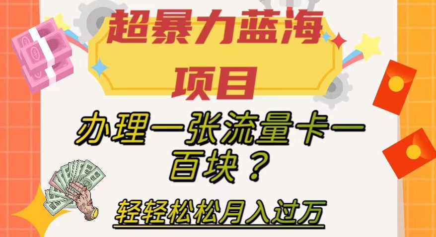 超暴力蓝海项目-办理一张流量卡一百块？轻轻松松月入过万-保姆级教程【揭秘】-第2资源网