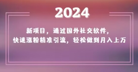 2024新项目-通过国外社交软件-快速涨粉精准引流-轻松做到月入上万【揭秘】-第2资源网