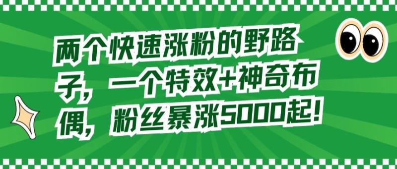 两个快速涨粉的野路子-一个特效+神奇布偶-粉丝暴涨5000起【揭秘】-第2资源网