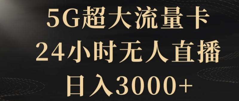 5G超大流量卡-24小时无人直播-日入3000+【揭秘】-第2资源网