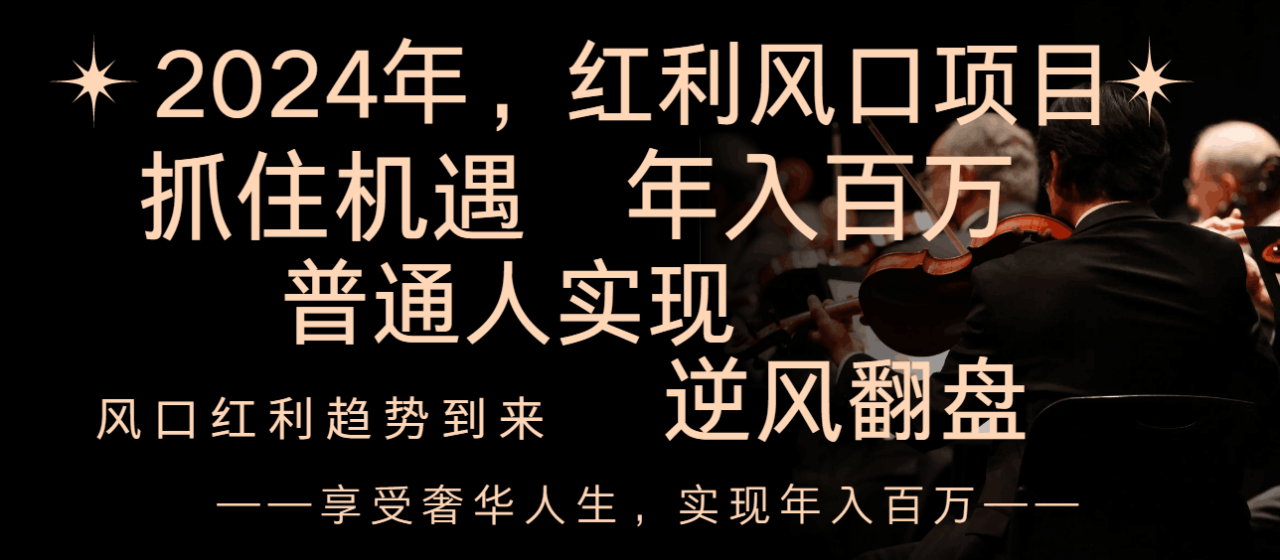 2024红利风口项目来袭-享受第一波红利-逆风翻盘普通人也能实现-年入百万-第2资源网