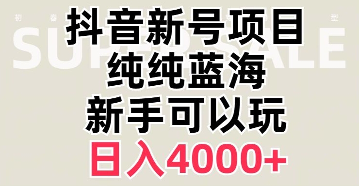 抖音蓝海赛道-必须是新账号-日入4000+【揭秘】-第2资源网