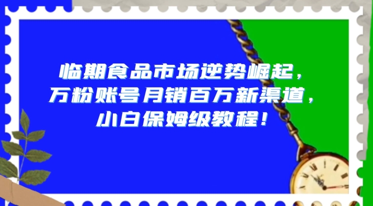 临期食品市场逆势崛起-万粉账号月销百万新渠道-小白保姆级教程【揭秘】-第2资源网