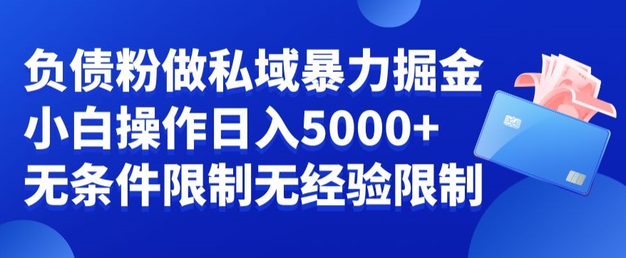 负债粉私域暴力掘金-新手操作入5000-无经验限制-无条件限制-第2资源网