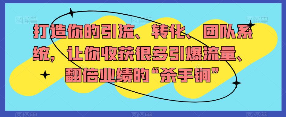 打造你的引流、转化、团队系统-让你收获很多引爆流量、翻倍业绩的“杀手锏”-第2资源网