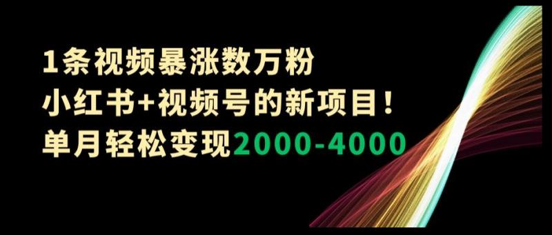 1条视频暴涨数万粉–小红书+视频号的新项目！单月轻松变现2000-4000【揭秘】-第2资源网