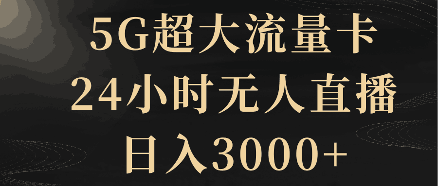 5G超大流量卡-24小时无人直播-日入3000+-第2资源网