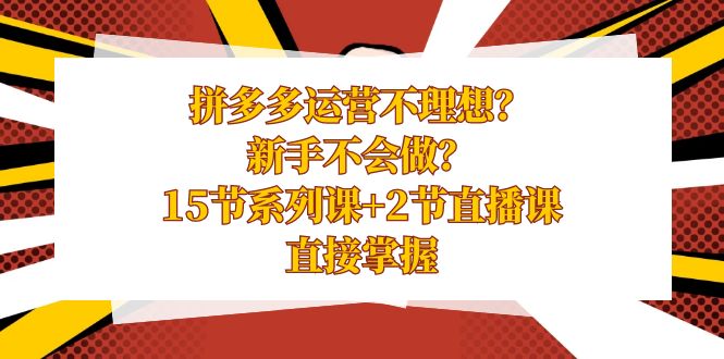 拼多多运营课程-新手不会做？15节系列课+2节直播课-直接掌握-第2资源网